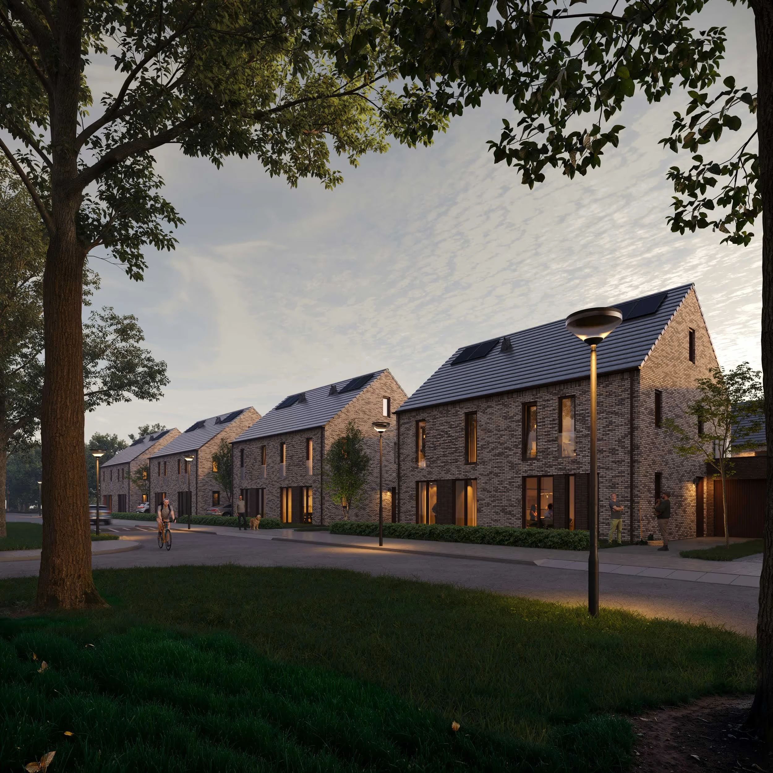 De nieuwe buur - Rumerslanden